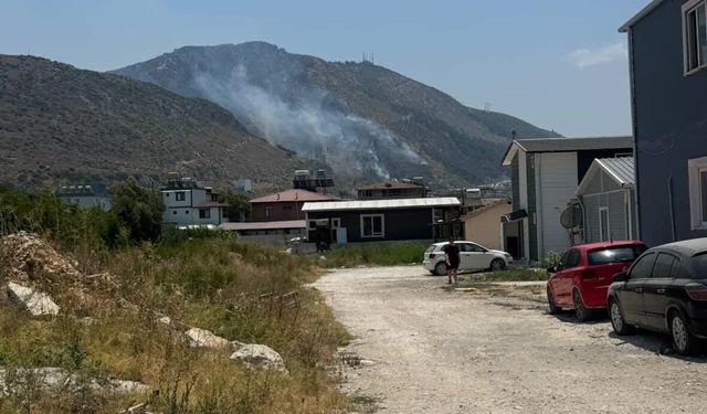 Hatay'da orman yangını çıktı