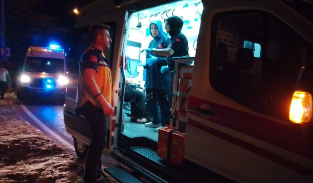 Kocaeli'de Otomobil Ağaca Çarptı