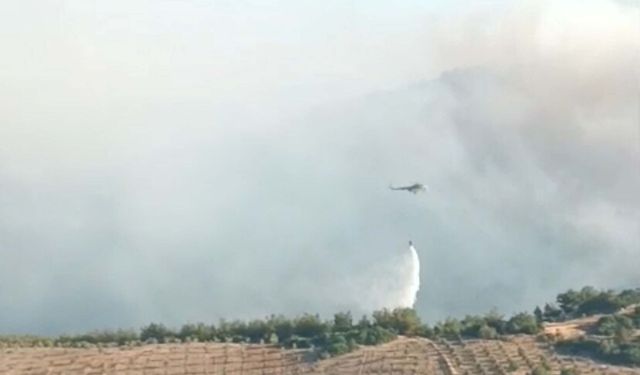 Manisa’da Orman Yangınları 4. Gününde