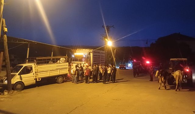 Manisa'da  yangın Salihli ilçesi sınırlarına kadar ulaştı