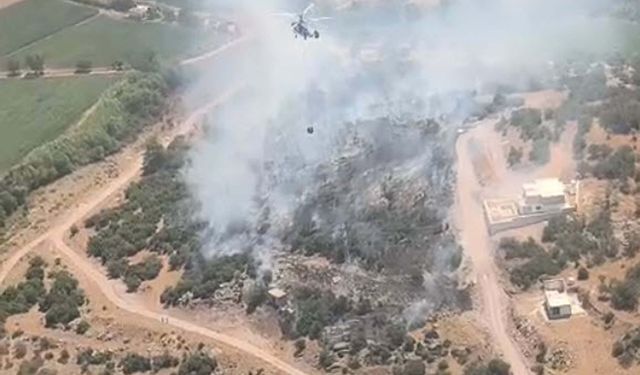 Muğla'da tarım arazisinde yangın