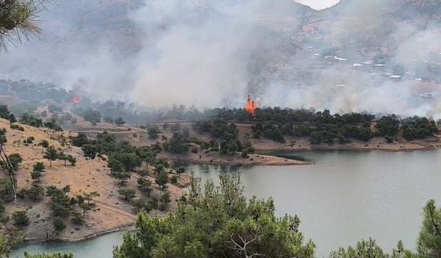 Orman Yangınına Köylülerden Traktörle Destek!