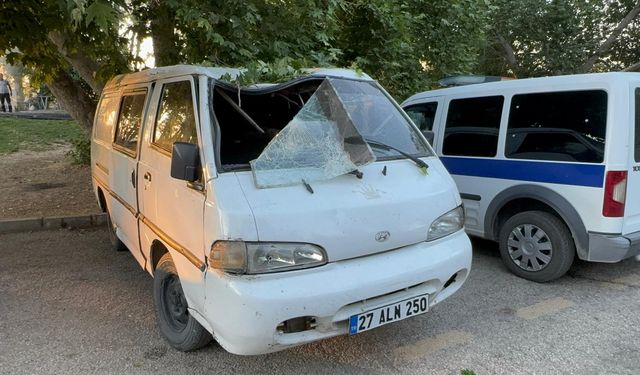 Piknik Yerinde Panik: Üzerlerine Ağaç Dalı Düştü!