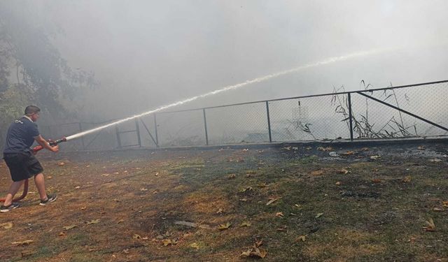 Sapanca Gölünde Çıkan Yangın Söndürüldü!