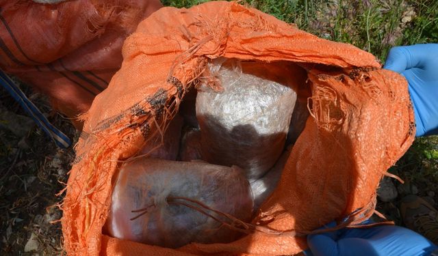 Van'da 97 kilo skunk ele geçirildi!