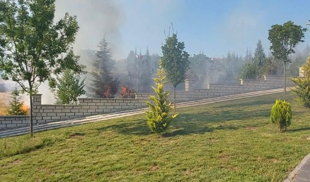 Eskişehir cayır cayır yanıyor!