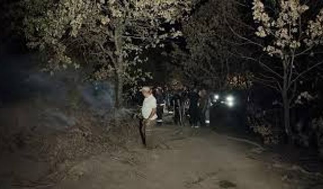 Gebze'deki orman yangını söndürüldü