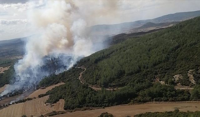 Çanakkale Lapseki’de Orman Yangını