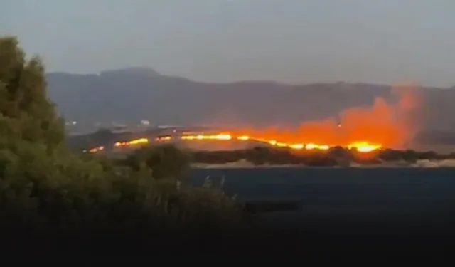 Urla'da orman yangını söndürüldü