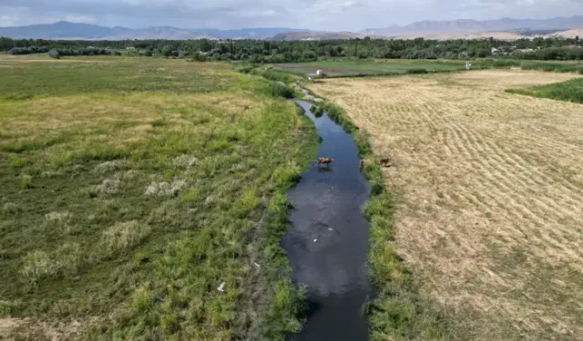 Kuraklık Van Gölü’nü Vurdu: Göldeki Çekilme 5 Kilometreyi Aştı