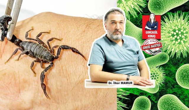 Kanser tedavisinde akrep zehri umuda dönüştü