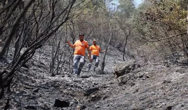 Sakarya'da Patili Seferberlik!