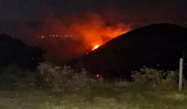 Manisa'daki orman yangınına müdahale 10,5 saat sürdü