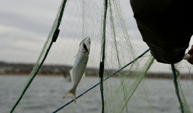 Kızılcahamam’da 2. Balık Tutma Yarışması Düzenlenecek