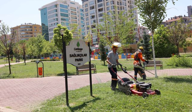 "Çankaya’nın Parklarında Yaz Bakımı Tam Gaz Sürüyor"