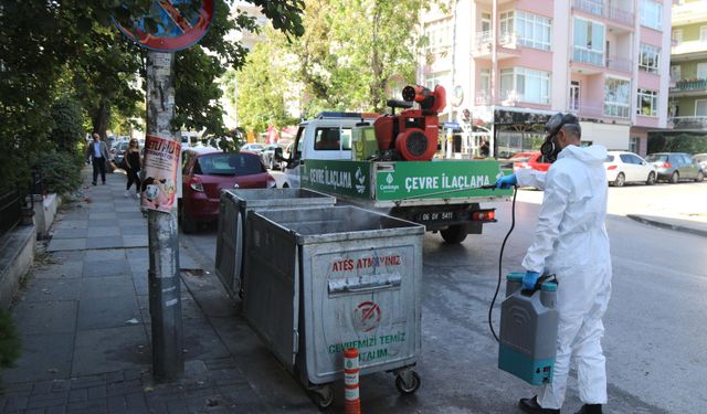 Çankaya’da haşere ve zararlılara karşı kapsamlı ilaçlama