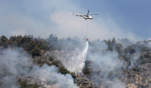 Arıcak köyündeki orman yangını