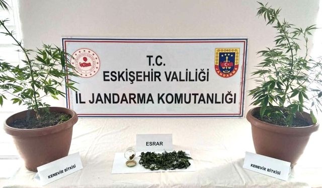 Evinde Hint Keneviri Yetiştiriyormuş!