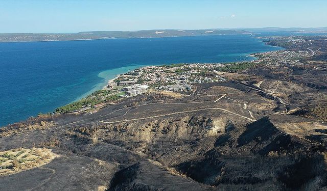 Orman yangınları su ekosistemlerini ciddi şekilde tehdit ediyor