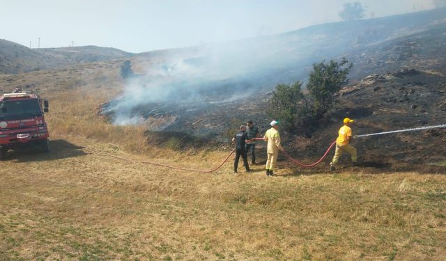 Tokat’ta Yangın: 10 Dönüm Alan Zarar Gördü