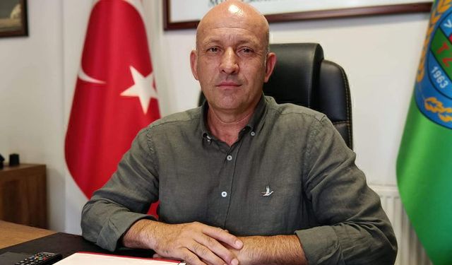Ayçiçeğini kuraklık vurdu