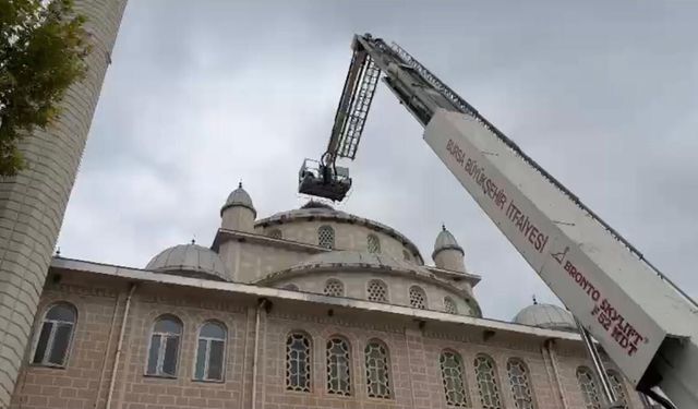 Cami Kubbesinde Mahsur Kalan Leylek Kurtarıldı