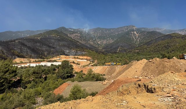Hatay'da orman yangını