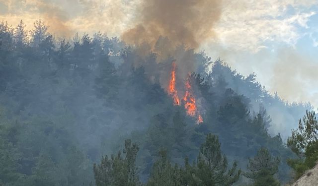 Karabük cayır cayır yanıyor!