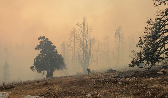 Karaman'da 3 ayrı noktada orman yangını