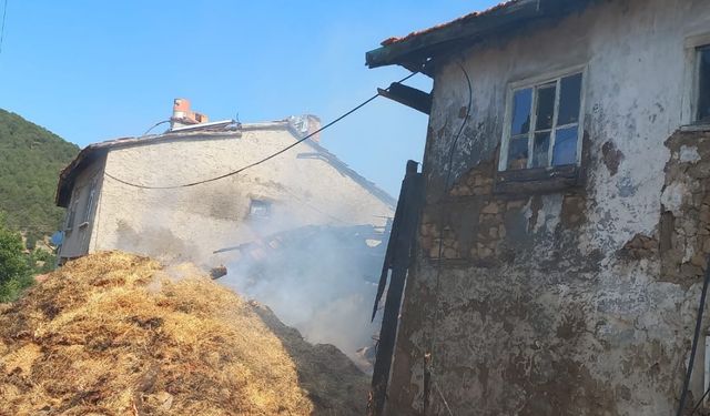Köyde çıkan yangında 2 ev ve eklentileri yandı!