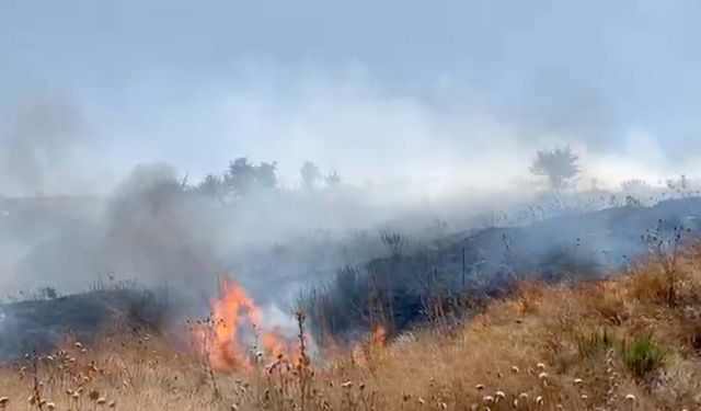 Manisa'daki yangın kontrol altına alındı