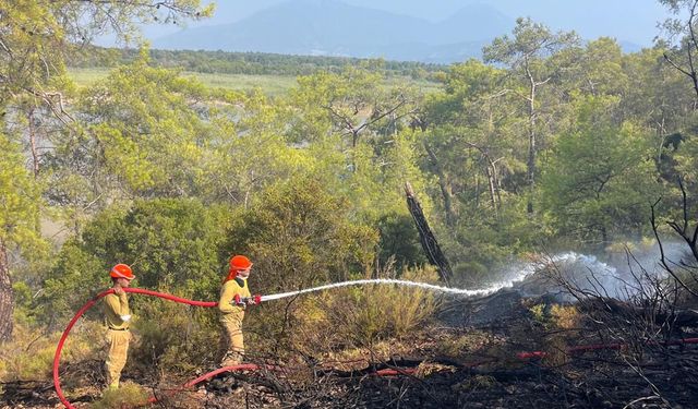 Muğla'da ormanı yangını kontrol altına alındı