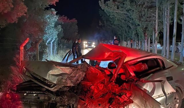 Refüjdeki ağaca çarpan otomobilin sürücüsü öldü