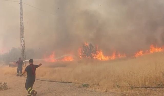 Şırnak'ta örtü yangını çıktı!