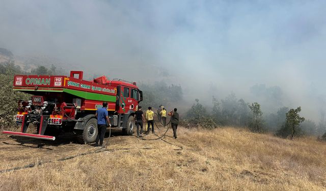 Şırnak'taki örtü yangını kontrol altına alındı