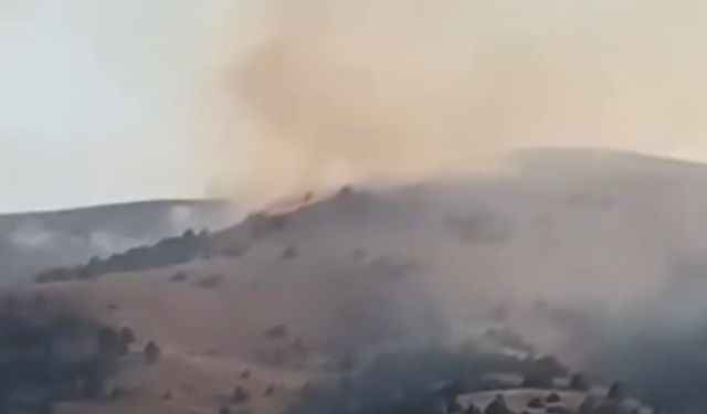 Sivas'ta anız yangını