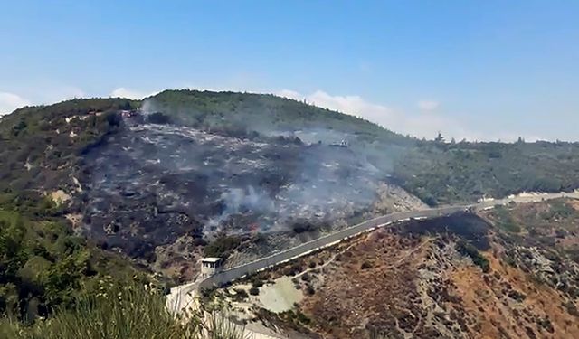 Suriye sınırlarındaki yangın kontrol altında!