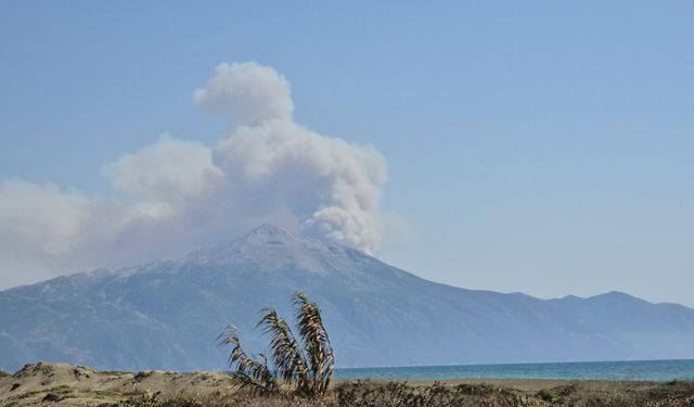Suriye'de sınırlarına yakın orman yangını!