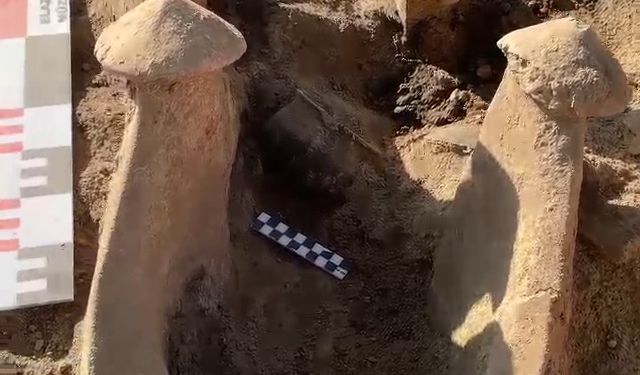 Tadım Kalesi ve Höyüğü'nde yeni buluntular