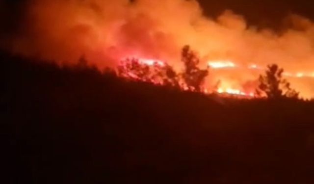 Urla’da Orman Yangını