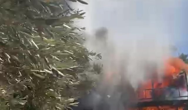 Yangın ormana sıçramadan söndürüldü!
