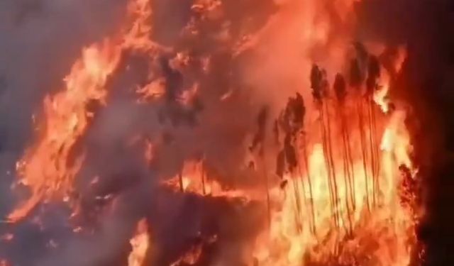 Yangınla mücadele ederken hayatını kaybetti