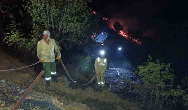 Elazığ'da samanlık yangını çıktı