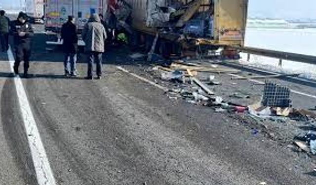 Korkutan kaza şoför hayatını kaybetti