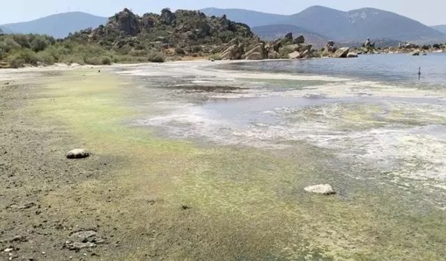 Bafa Gölü kirlilik alarmı verdi