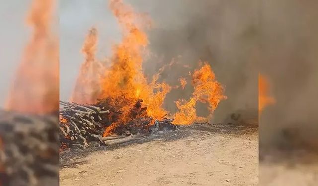 Malatya'da orman yangını!