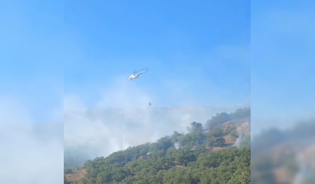 Malatya'da orman yangını kontrol altına alındı