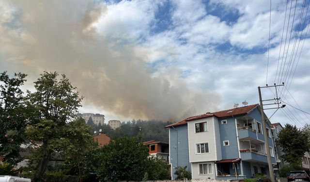 Kocaeli'de Orman Yangını!