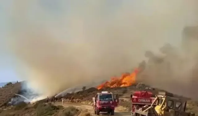 İzmir'de orman yangını çıktı