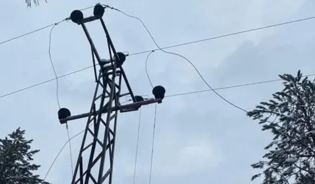 Elektrik akımına kapalan işçi direkten düştü